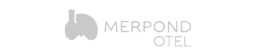 merpont